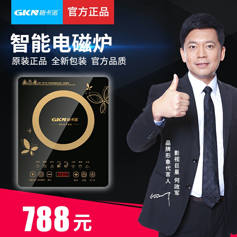 电磁炉 GKN-LF-11