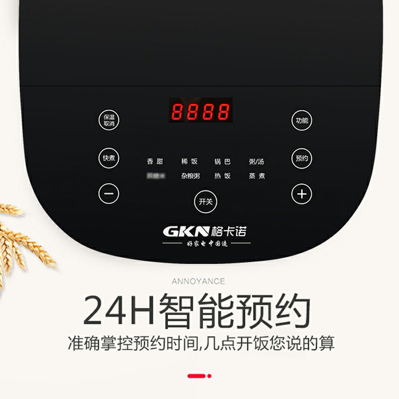 电饭锅（黑金刚GKN-DFB-5）