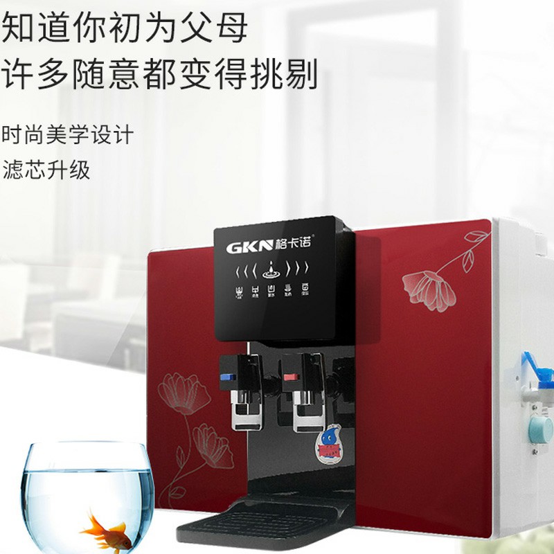 加热一体红带果蔬解毒机