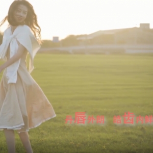 丹唇外郎，皓齿内鲜《纹绣》